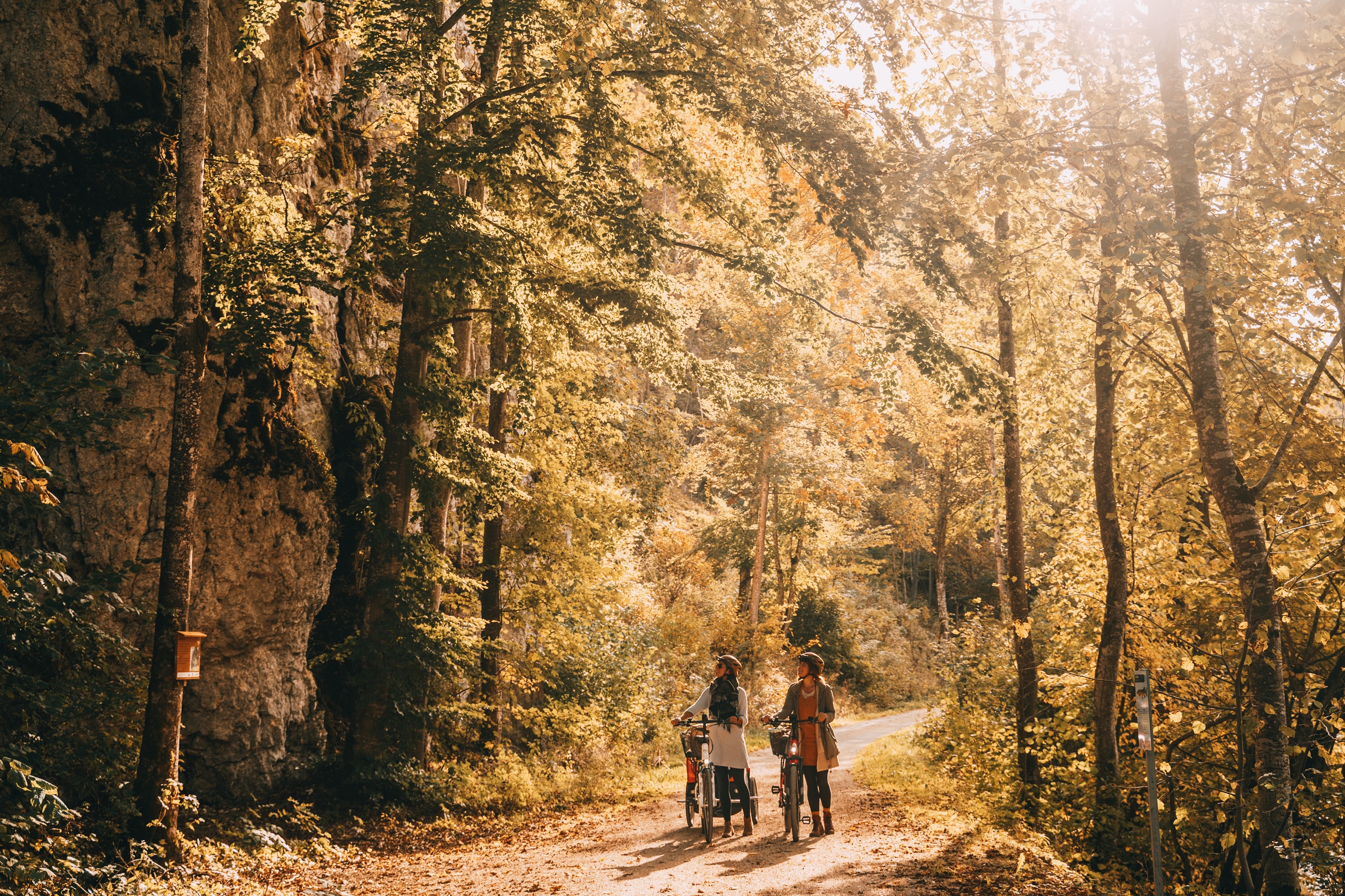Copyright MUSS angegeneben werden: (c) Jana Zieseniß, sonne-wolken.de Donauradweg im Herbstlicht