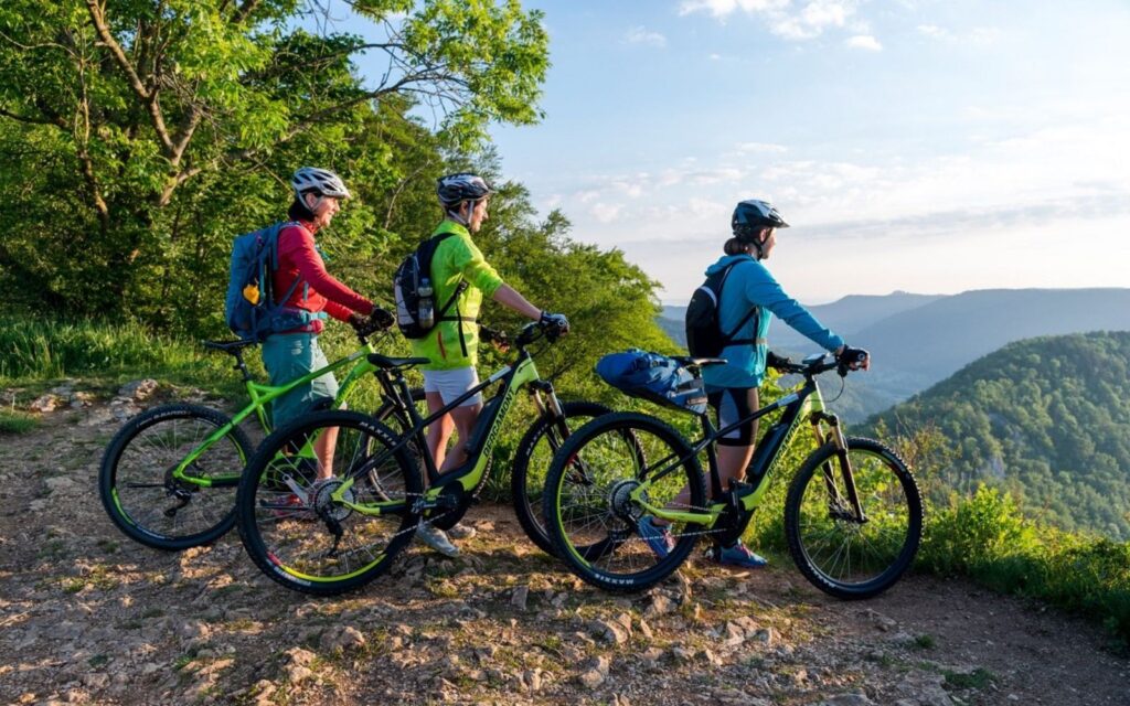 Bild von drei Fahrradfahrerinnen, die die Aussicht ins Donaubikeland genießen
