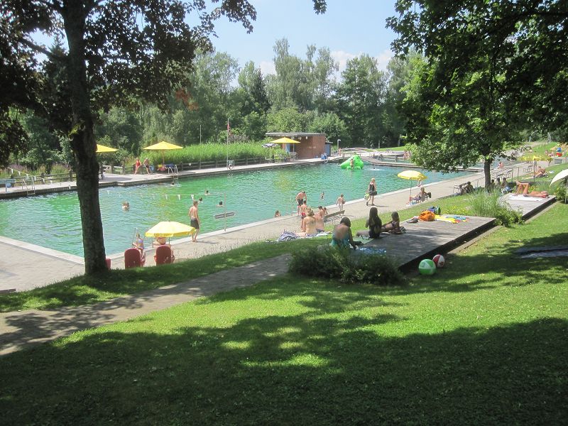 Bild mit seitlichem Blick auf das Schwimmerbecken in der Troase eingefasst mit Bäumen und wenigen Personen im Wasser und auf der grünen Liegewiese