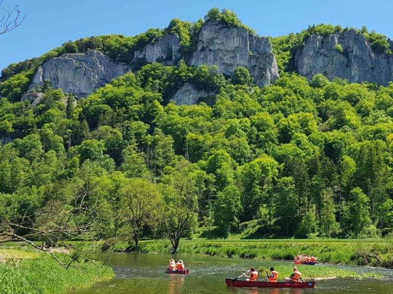 Bild von Paddlern auf der Donau mit Bäumen und Felsen im Hintergrund