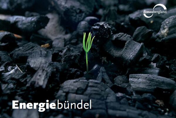 Donaubergland Postkartenmotiv mit schwarzer Kohle und einem grünen Pflanzentrieb in der Mitte.