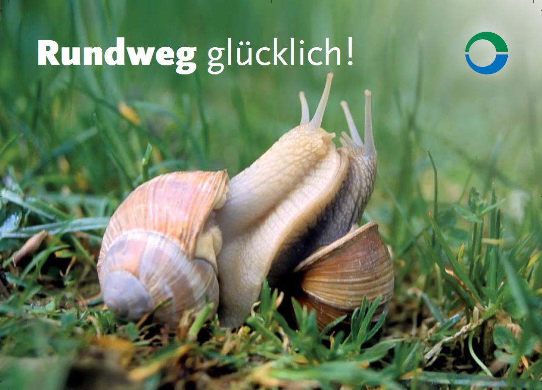 Donaubergland Postkartenmotiv mit zwei Schnecken, die auf einer Wiese aneinander kleben.
