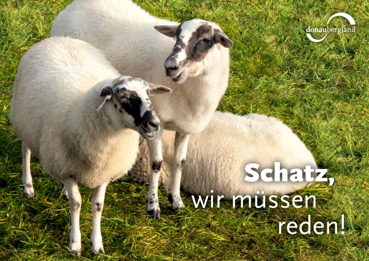 Donaubergland Postkartenmotiv mit zwei stehenden und einem liegenden Schaf auf einer grünen Wiese.