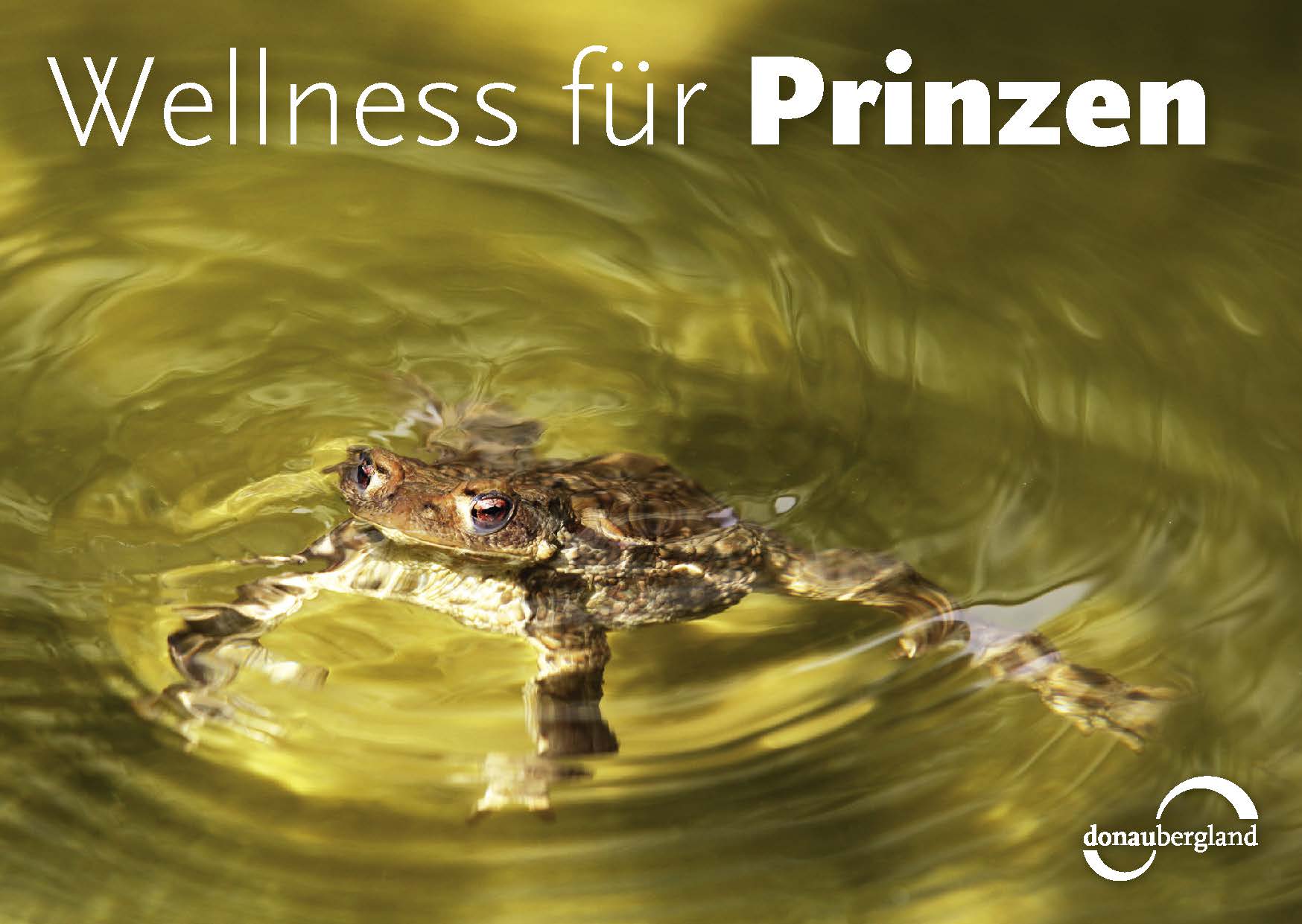 Donaubergland Postkartenmotiv mit Frosch in grünlichem Wasser.