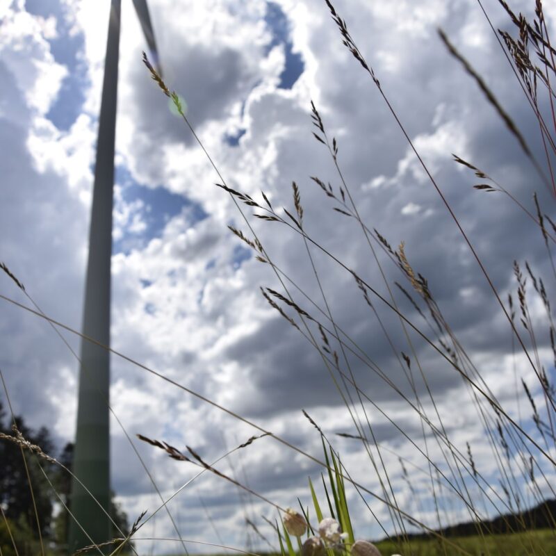 Bild von einem Windrad vor wolkenverhangenem Himmel auf einer Wiese