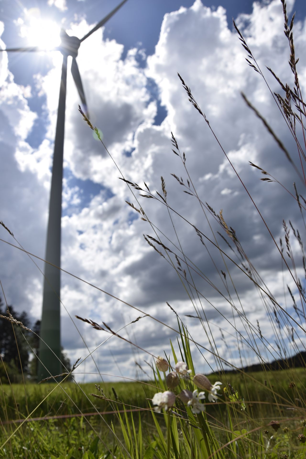 Bild von einem Windrad vor wolkenverhangenem Himmel auf einer Wiese