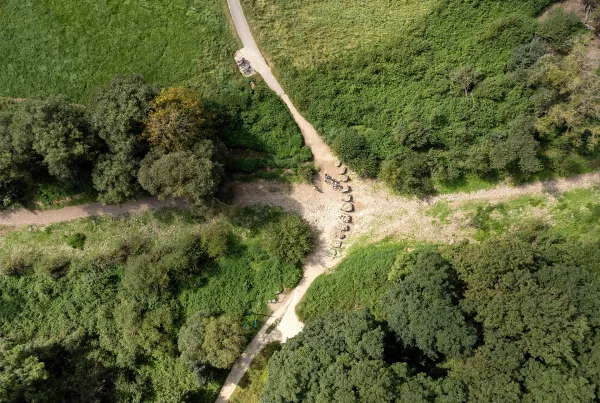 Bild von der Donauversickerung von oben fotografiert. Sieht aus wie eine Wegkreuzung umgeben von Büschen und Wiesen.