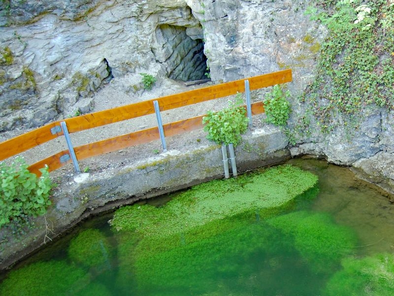 Bild von der Aachquelle mit Felsen im Hintergrund und einem Holzgeländer