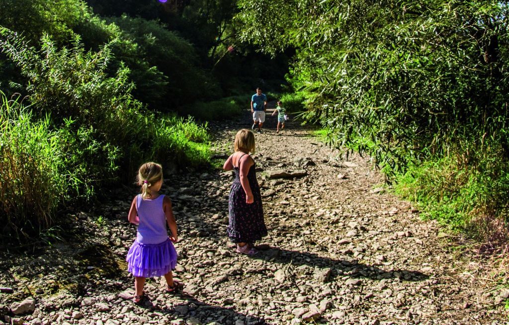 Bild an der Donauversickerung mit einem Vater und seinen 3 Kindern auf einem Schotterweg und seitlich sind Büsche und Wiesen zu sehen.