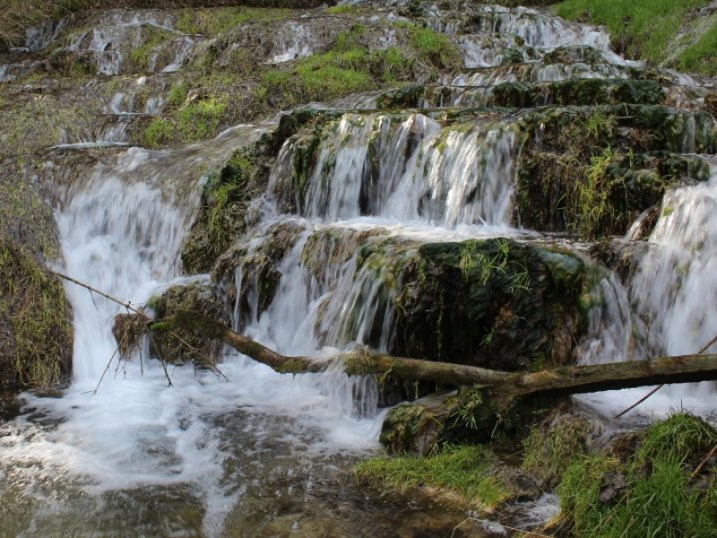 Bild von einem kleinen Wasserfall über bemoosten Tuffstein und Ästen