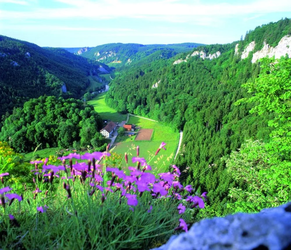 Bild vom Ausblick von der Ruine Kallenberg ins Tal mit Gehöft und bewaldeten Hängen