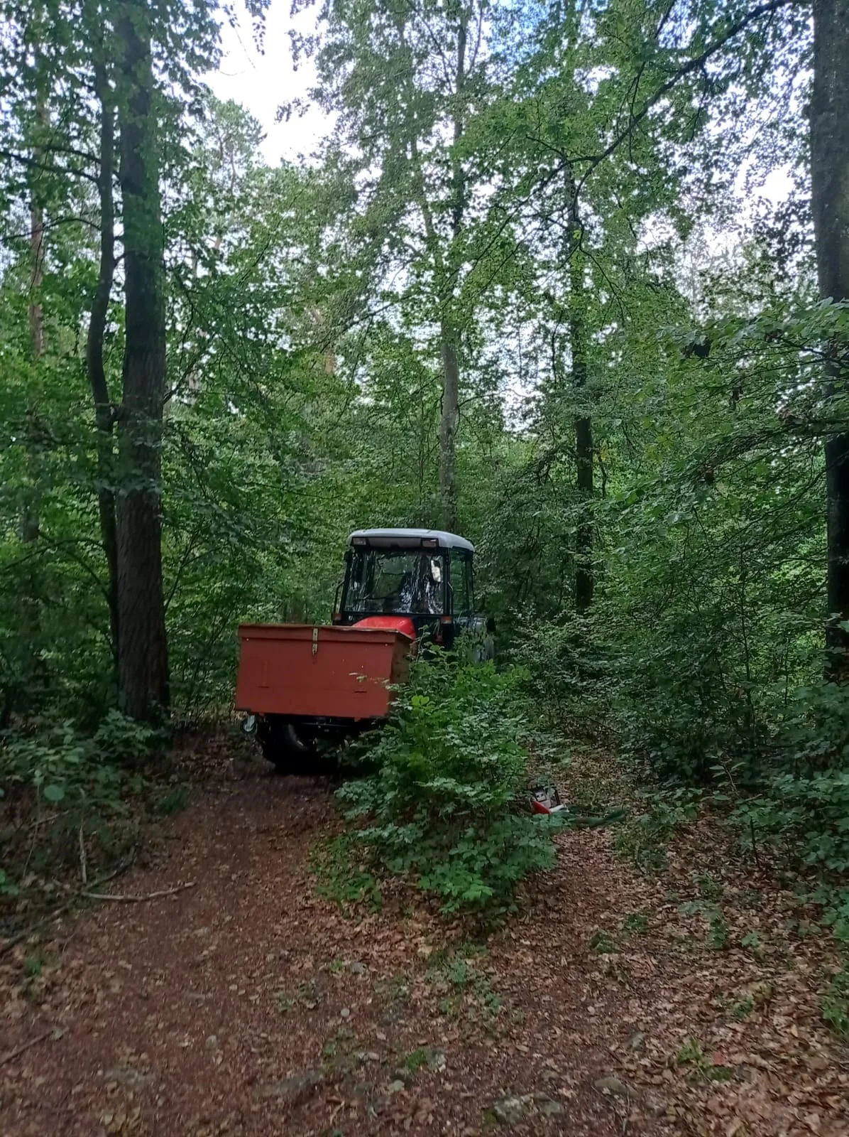 Bild mit Traktor im Wald