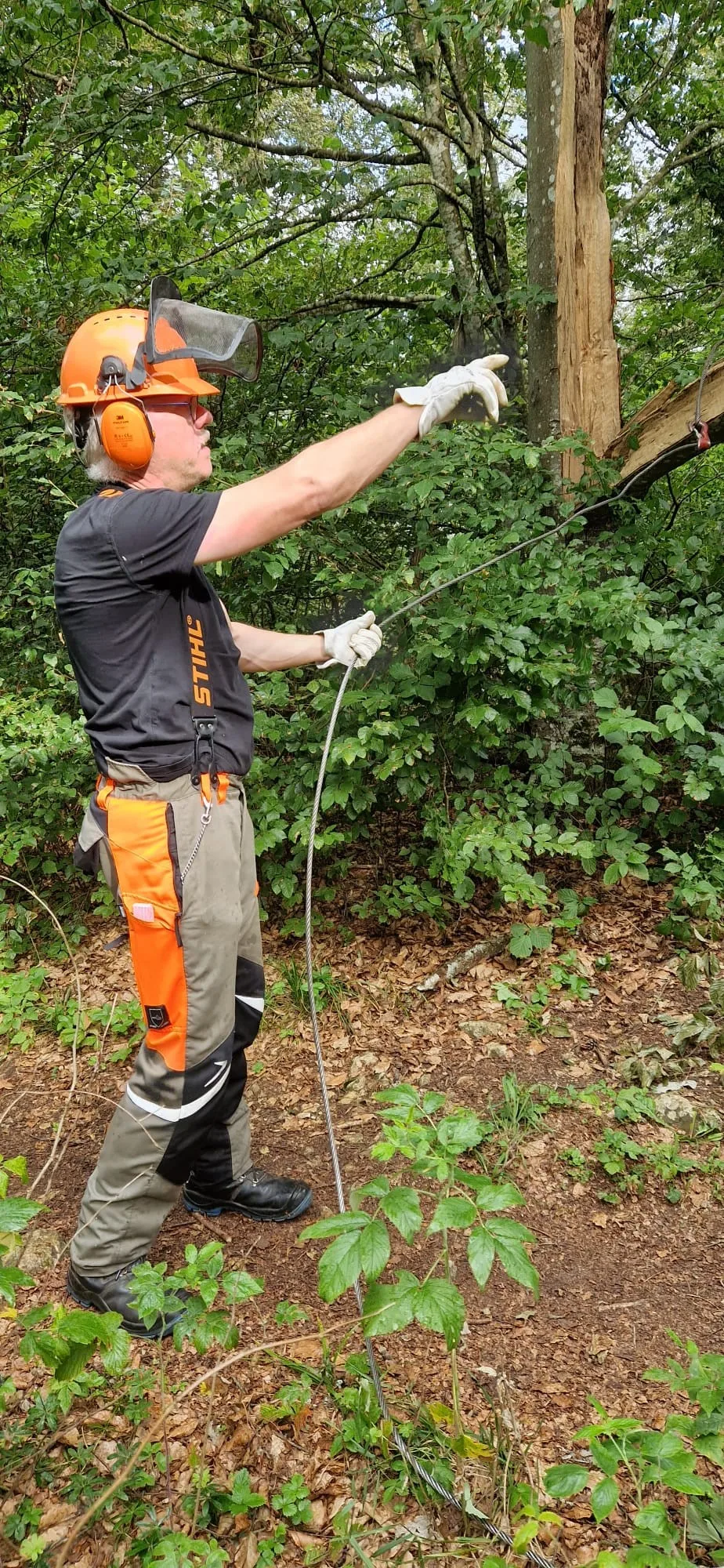 Bild mit Mann in Baumfällschutzkleidung, der einen zerstörten Baum sichert.