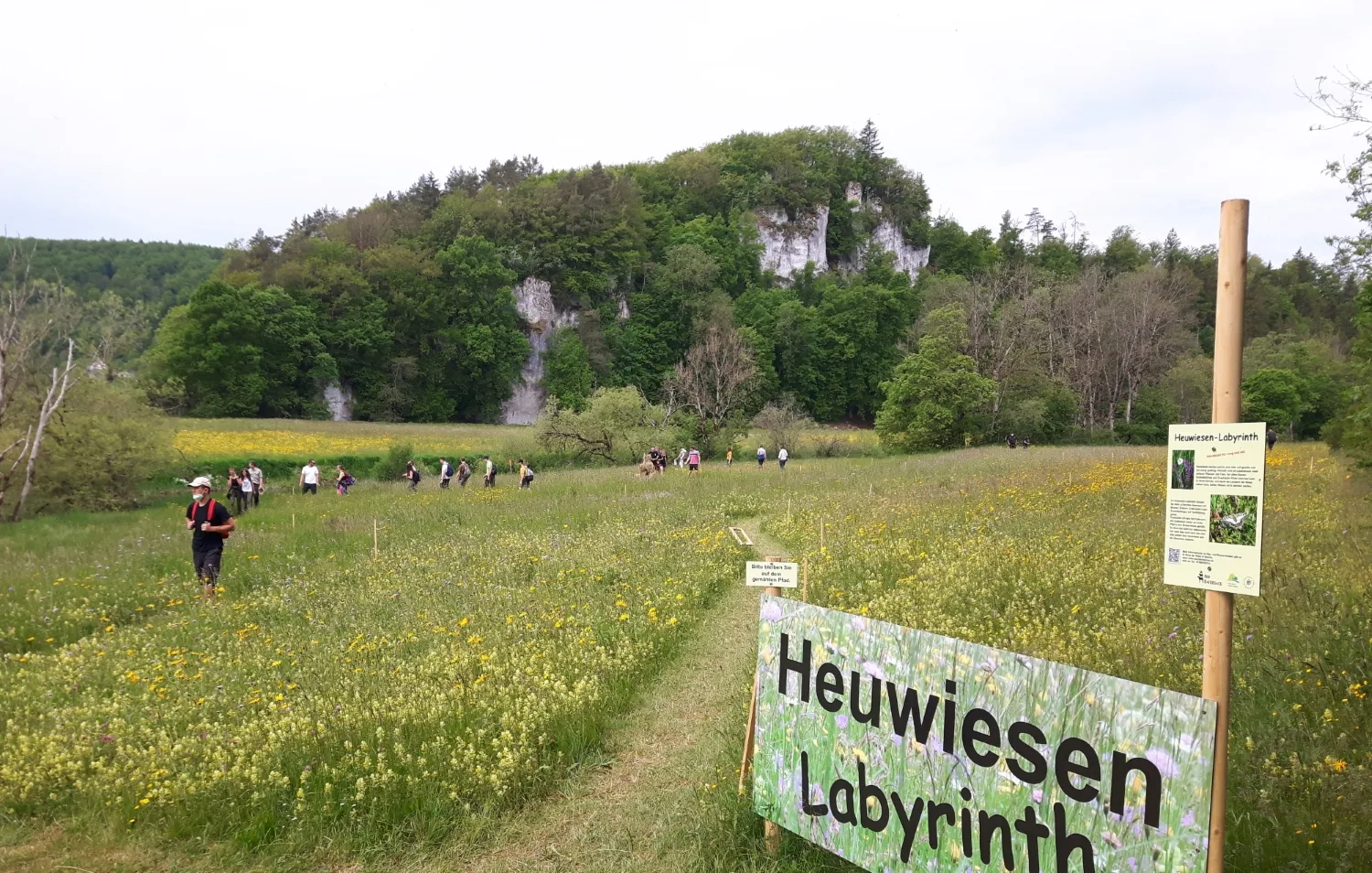 Bild von einer Wiese mit Hinweisschild: Heuwiesen Labyrinth mit einigen Personen und bewaldeten Felsen im Hintergrund