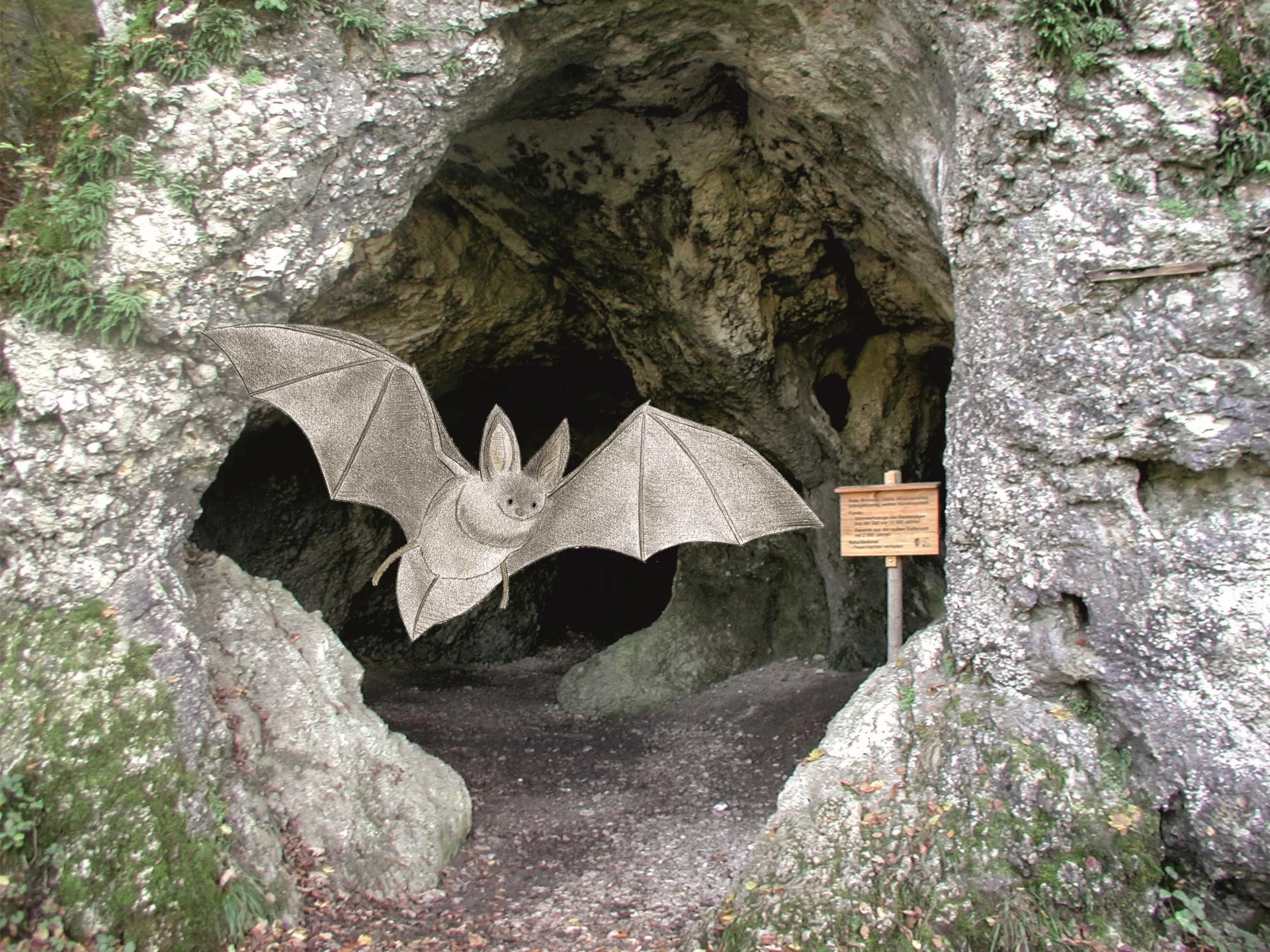 Bild mit einer Fledermaus (Fotomontage), die aus einer Höhle fliegt