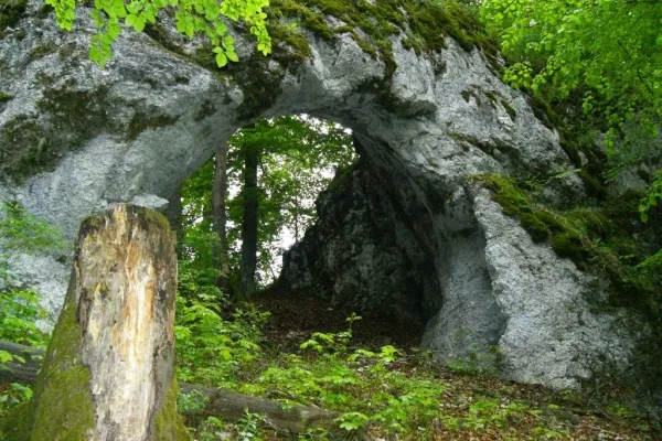Bild mit Blick auf das Heidentor in Egesheim, das zum Teil moosbewachsen ist. Im Vordergrund steht ein Baumstumpf