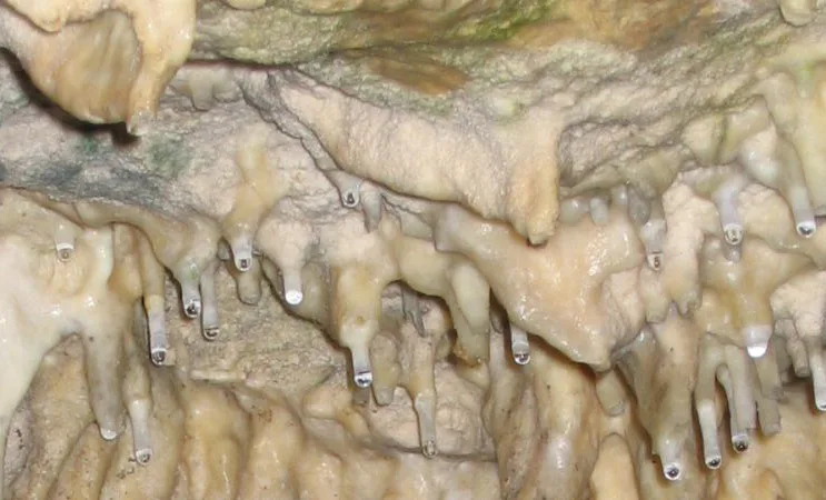 Bild von tropfenden Steinen in einer Höhle