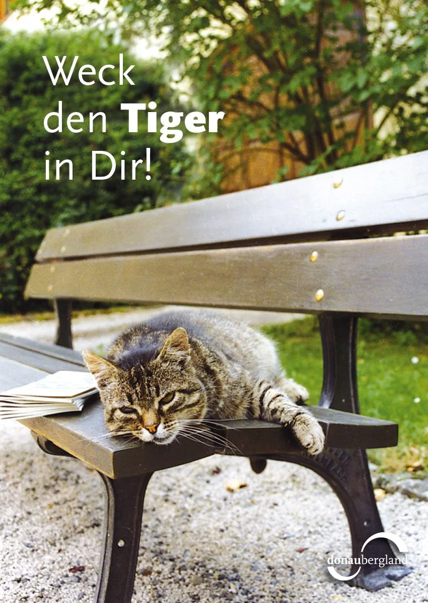 Donaubergland Postkartenmotiv mit liegender Katze auf einer Parkbank.