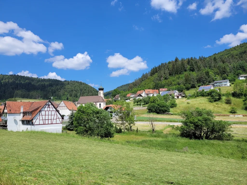 Bild von der Gemeinde Reichenbach von Wiesen und Bäumen umgeben