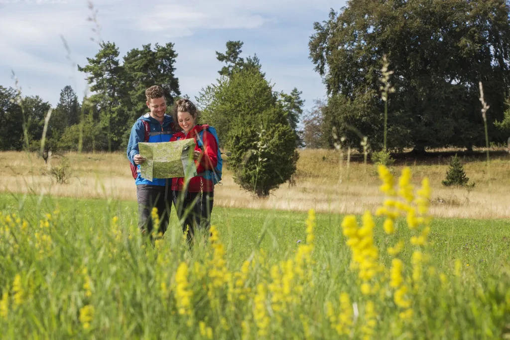 Bild von zwei Wanderern auf einer Wiese, die eine Wanderkarte studieren
