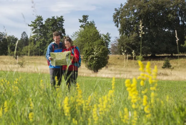 Bild von zwei Wanderern auf einer Wiese, die eine Wanderkarte studieren