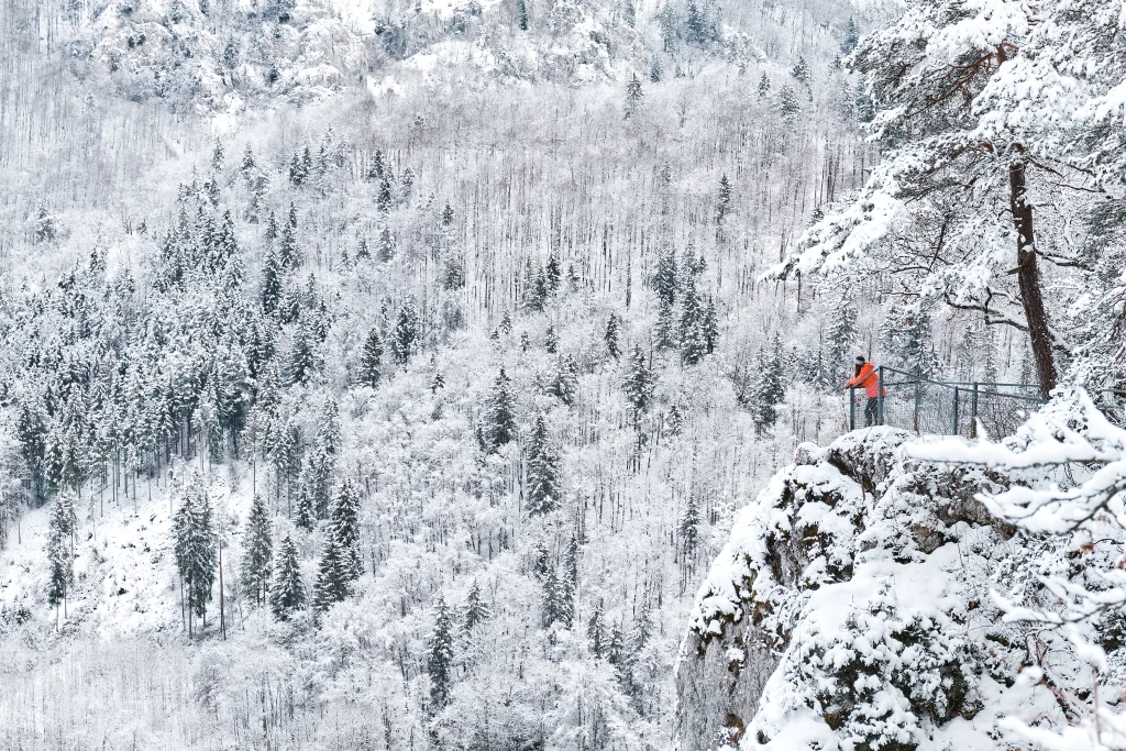 Bild von einer Wanderin in orange gekleidet, die an einer Absperrung steht und in den schneebedeckten Wald an einem Hang blickt