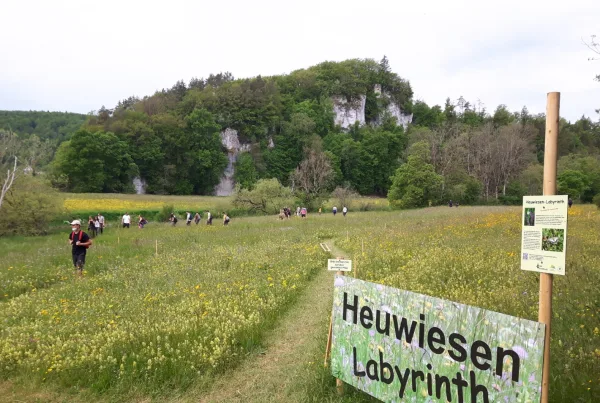 Wiesen Labyrinth