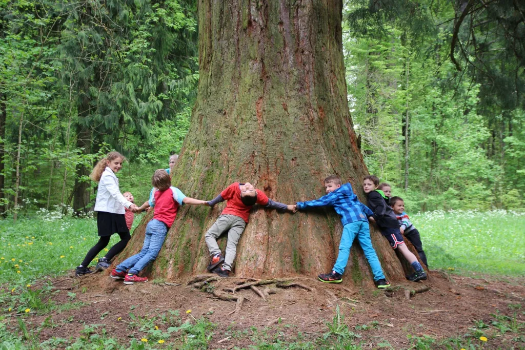 Kinder um dicken Baum