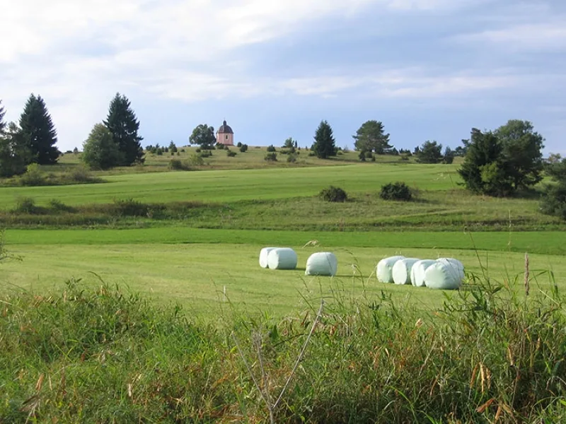 Bild von einer grünen Wiese, mit Kapelle im Hintergrund, verpackten Heuballen im Vordergrund und vereinzelten Bäumen