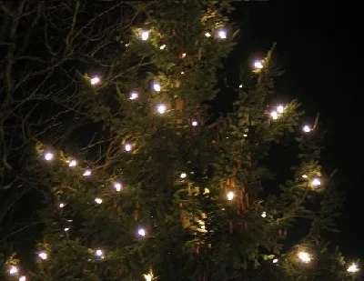 festlich geschmückten Weihnachtsbaums