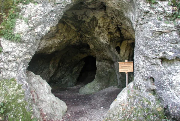 Maurushöhle an der Donau