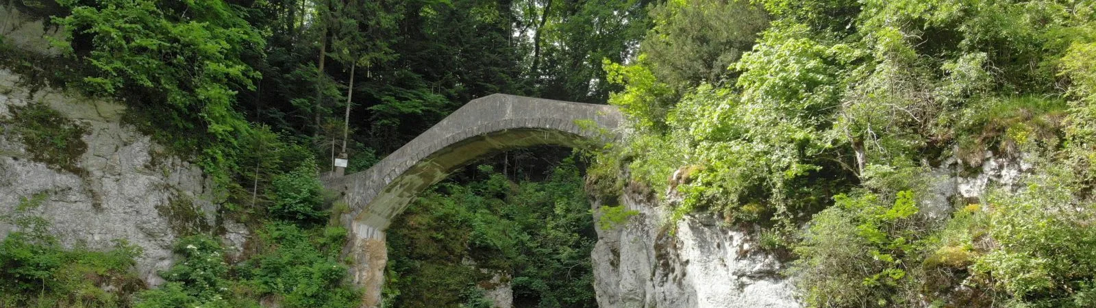 Bild von der Teufelsbrücke von unten fotografiert