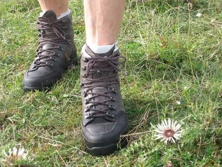 Wanderschuhe, Komfort und Sicherheit bei der Erkundung der Region