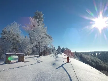 Winterlandschaft glänzt