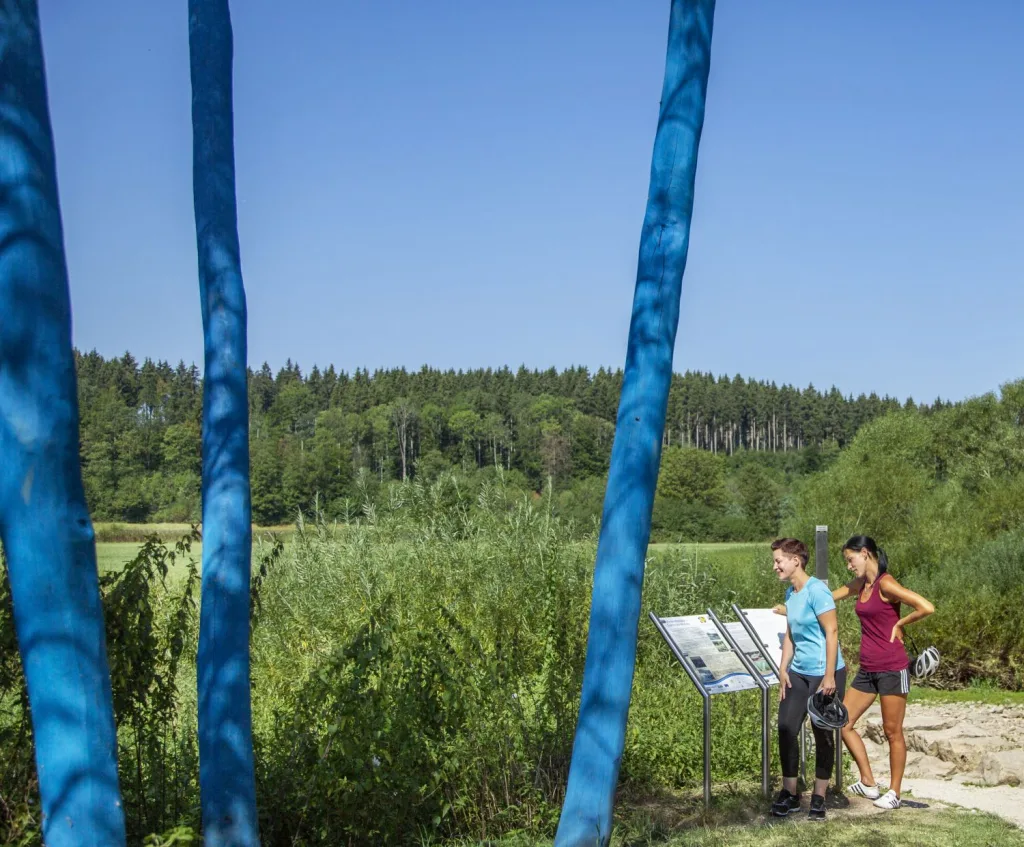 Donauversickerung, Furt an der Donau bei Immendingen