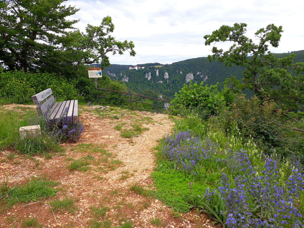 Aussichtspunkt mit Bank und Aussicht ins felsige Donautal