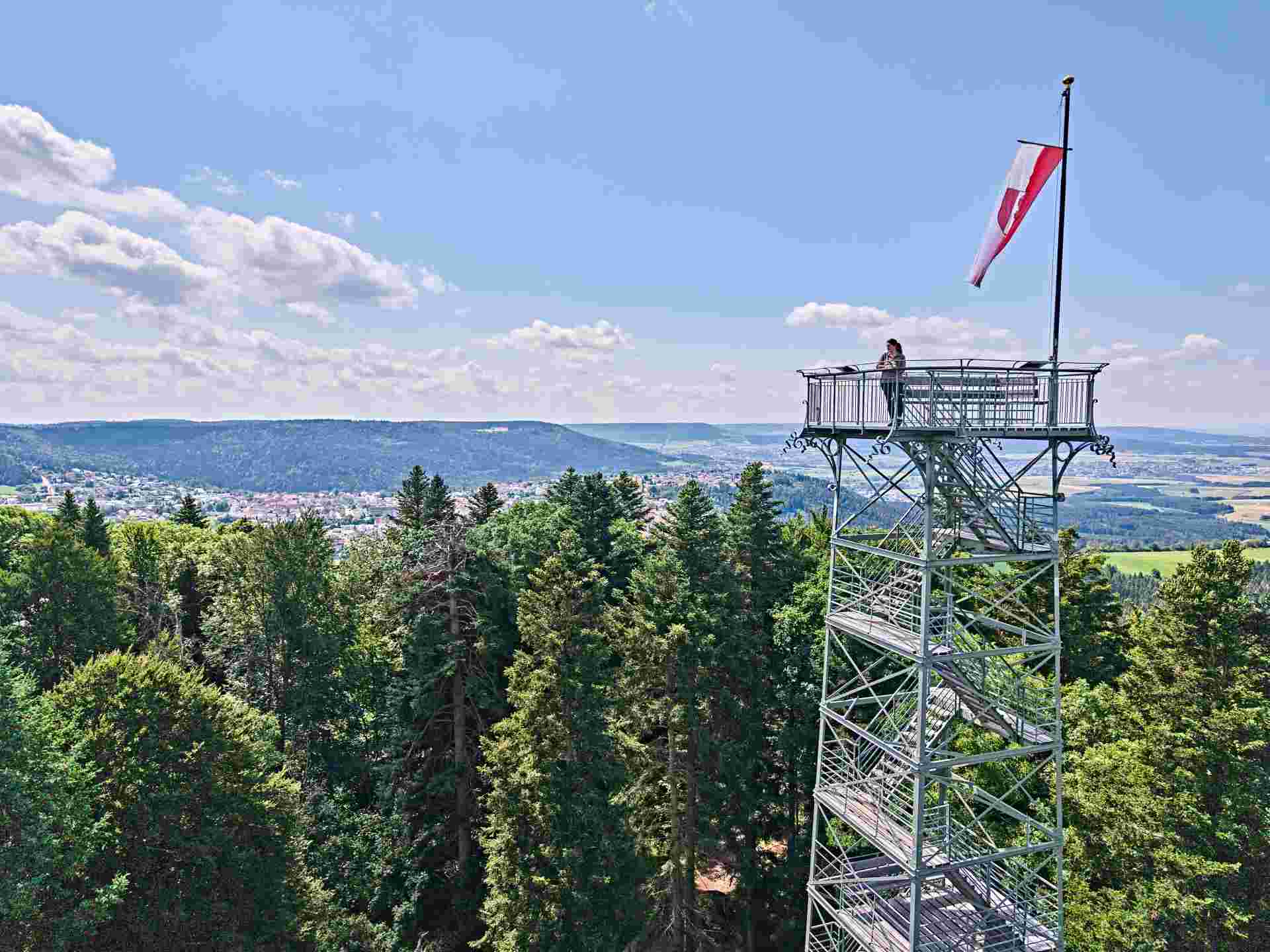 Blick auf den Lembergturm