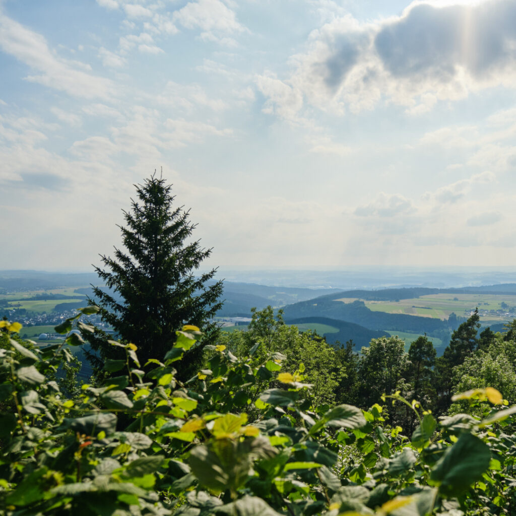 Aussicht auf dem Frittlinger Panoramaweg.
