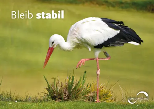 Bleib stabil