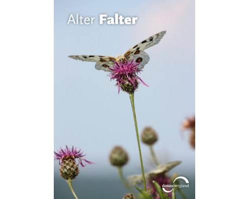 Donaubergland Postkartenmotiv mit Falter auf einer Distel mit hellem Hintergrund.