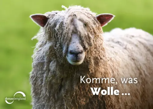 Komme, was Wolle