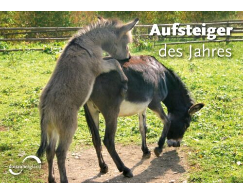 Donaubergland Postkartenmotiv mit zwei miteinander spielenden Eseln auf einer Weide.