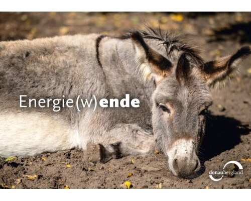 Energie(w)ende