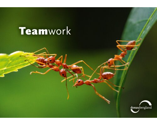 Teamwork