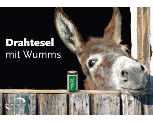 Donaubergland Postkartenmotiv mit Esel, der aus einem Stall schaut und eine 1,5 Volt Batterie neben sich stehen hat.