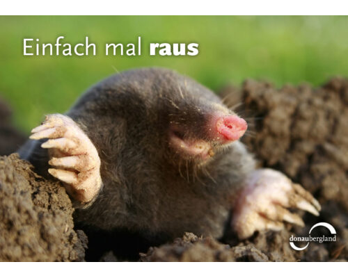 Donaubergland Postkartenmotiv mit Maulwurf, der aus einem Maulwurfhügel schaut.