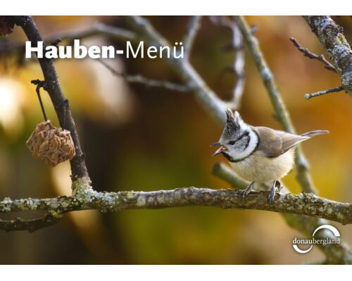 Donaubergland Postkartenmotiv mit Vogel auf einem Ast mit offenem Schnabel.