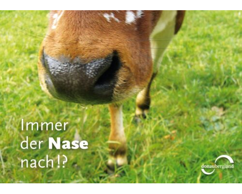 Donaubergland Postkartenmotiv mit Bild einer Kuh-Nase auf grüner Wiese.