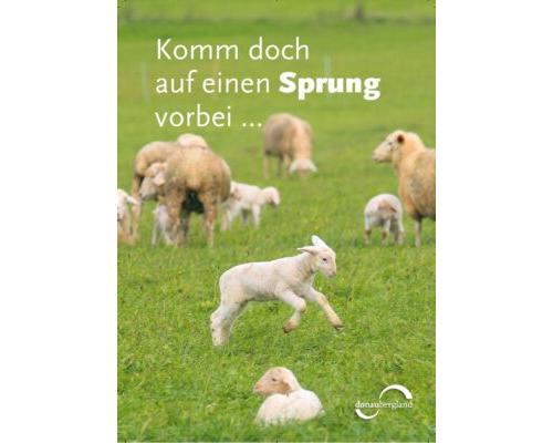 Donaubergland Postkartenmotiv mit Schafe auf einer grünen Weide und im Vordergrund springt ein Lamm.