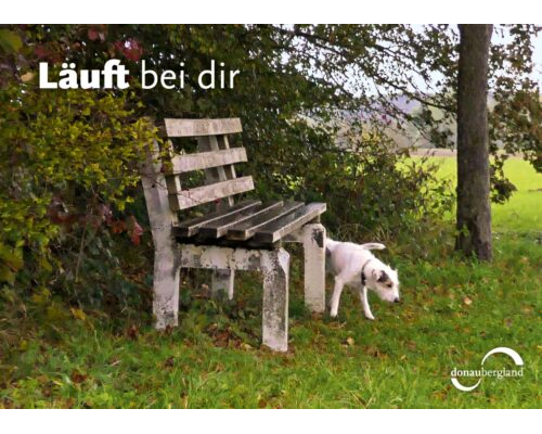 Donaubergland Postkartenmotiv mit weißem Hund an einer Bank auf einer Wiese.